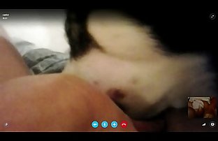 اسکائپ جنسی کے ساتھ بالغ بلی