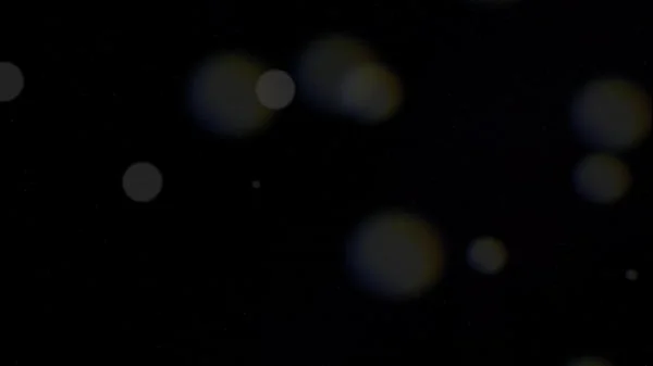 Hot French Maid Nympho Cecilia De Lys Gaped & Sodomized By Hung Black Dude In POV