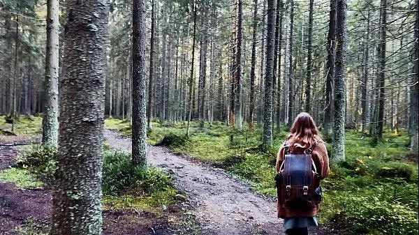 Get lost in Wonderlands