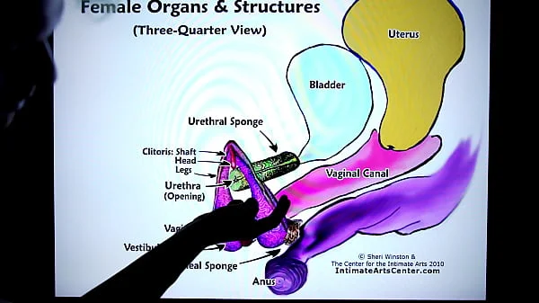 How to Squirt! Explained FAST!