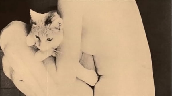 Dark Lantern Entertainment presents 'Beauty And The Beast'